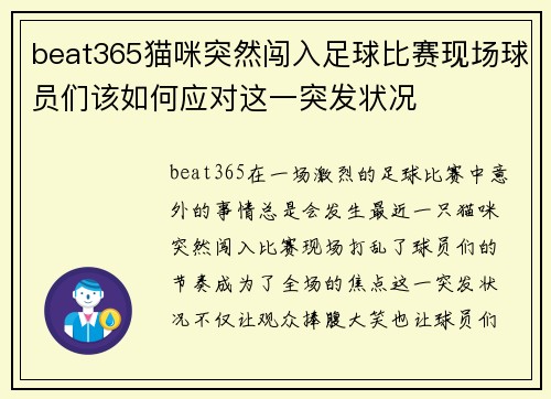 beat365猫咪突然闯入足球比赛现场球员们该如何应对这一突发状况